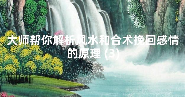 大师帮你解析风水和合术挽回感情的原理 (3)